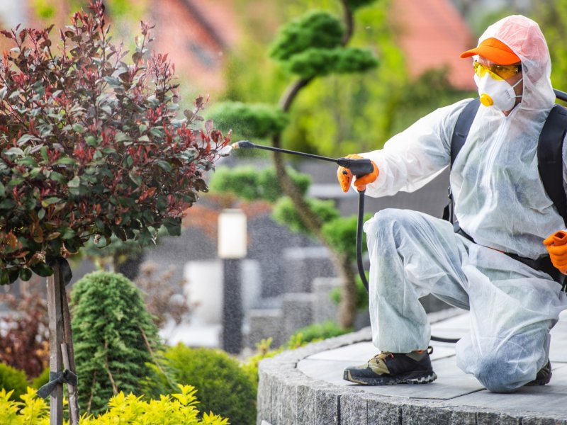 Ayaş Haşere İlaçlama